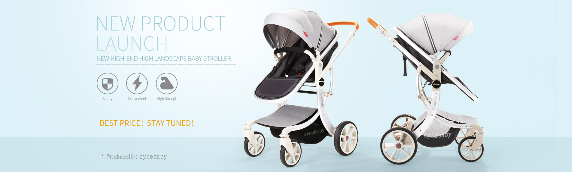 cynebaby bassinet stroller